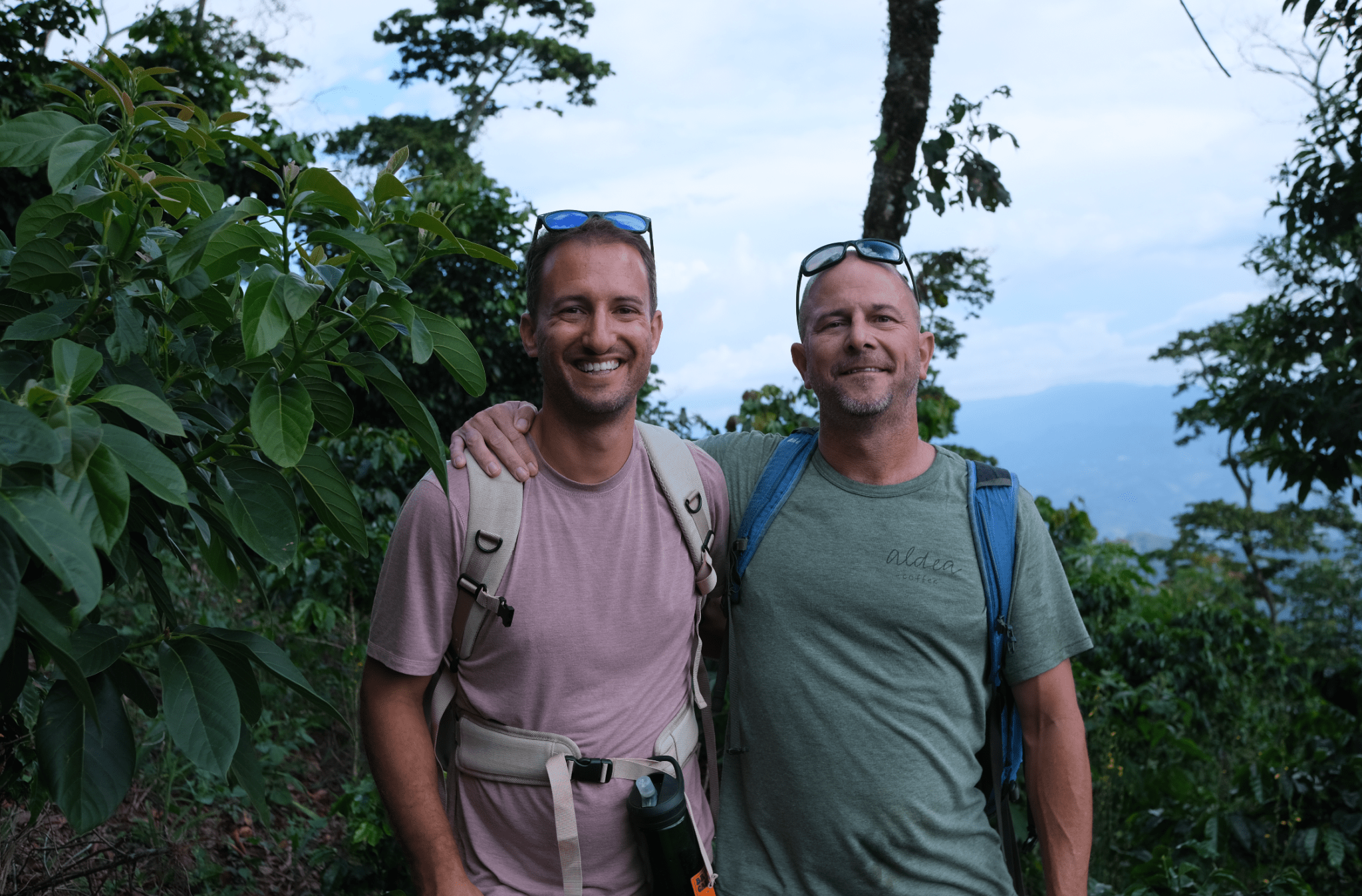 Roaster's Newsletter : November 2024 - Aldea Coffee