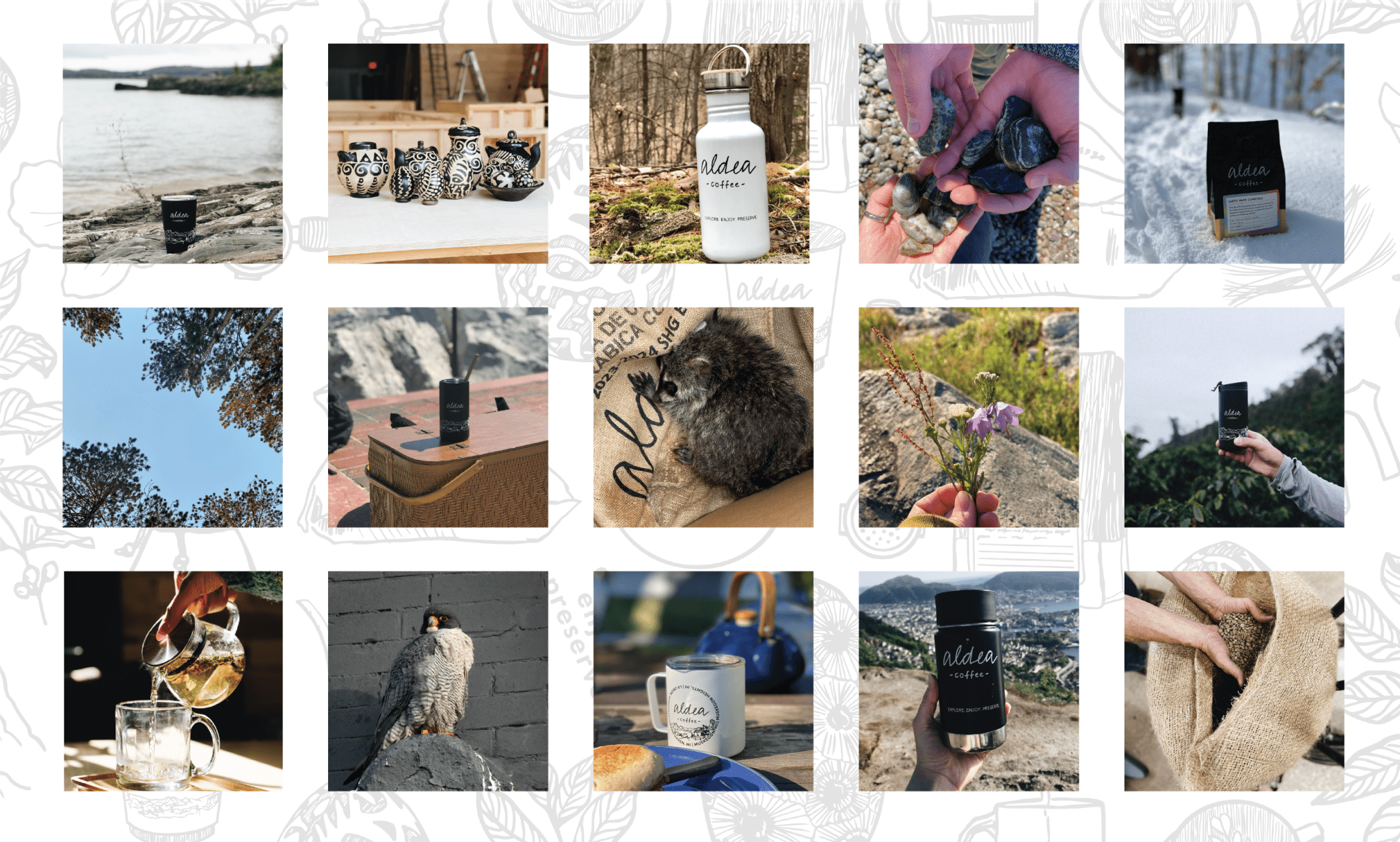 Explore, Enjoy, Preserve // A mission, a design, a challenge. - Aldea Coffee
